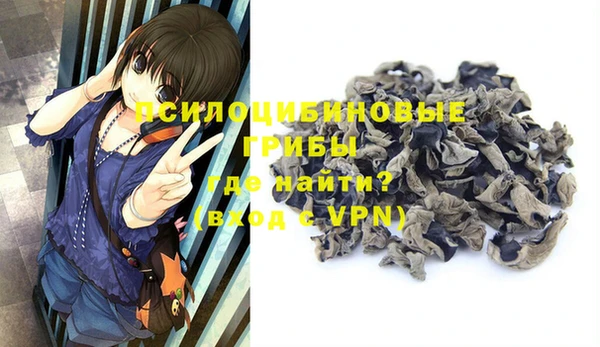 бошки Новодвинск